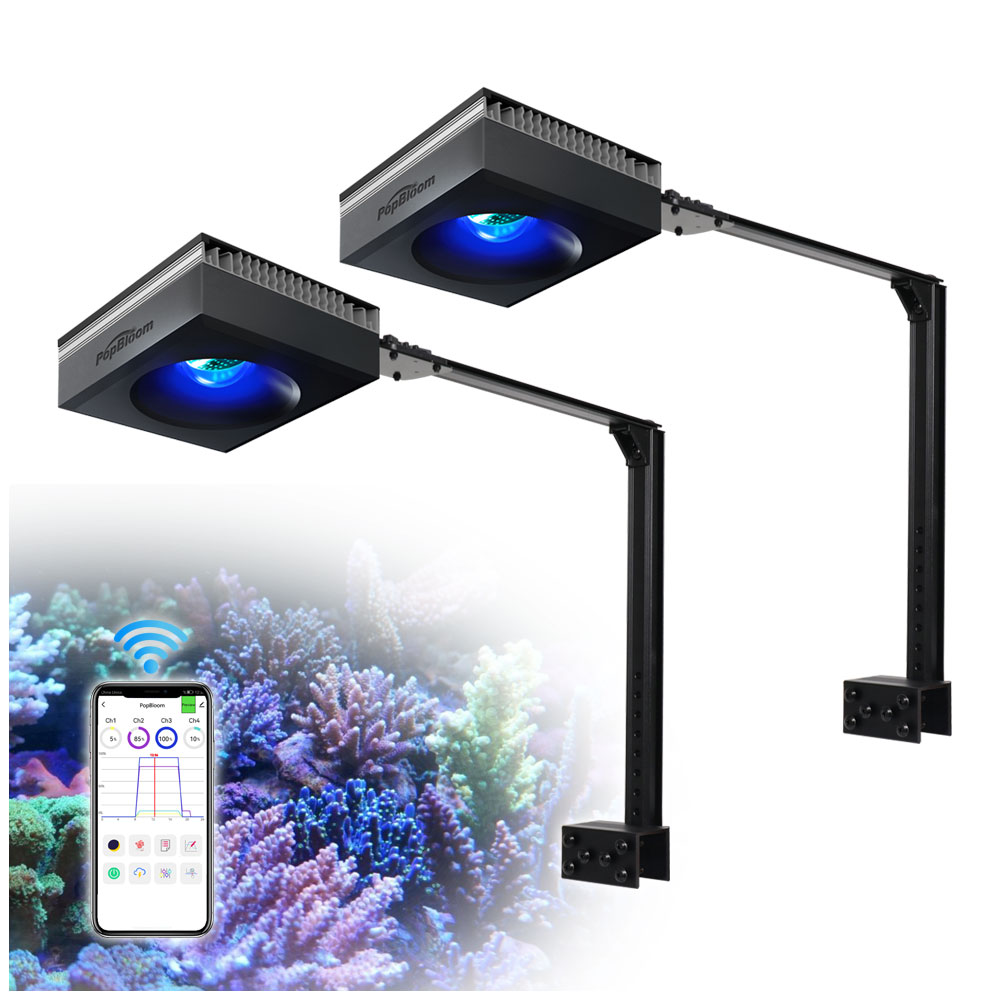 Marine X Aquarium - 팝블룸 2개입 RL90 LED 해수 수족관