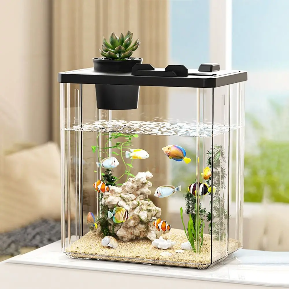 Marine Aquarium With Sump - 아쿠아리움 데스크탑 어항 물펌프 고투명 필터