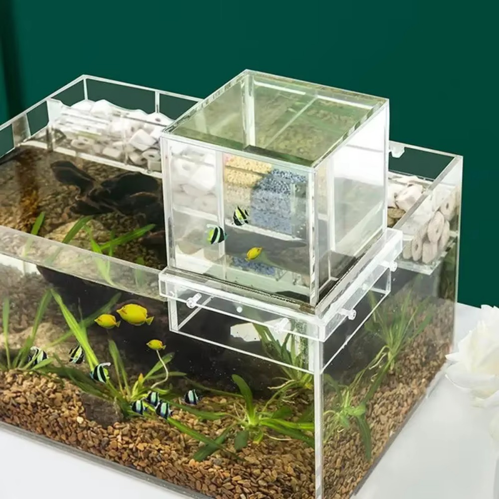 Marine Aquarium With Sump - 조경용 음압 어항 독특하고 눈길을 사로잡는