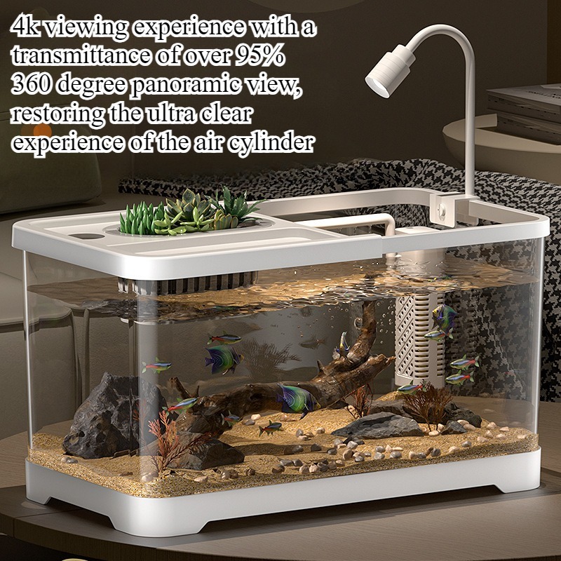 Marine Aquarium With Sump - 어항 가정용 수족관 거실 탁상용 생태