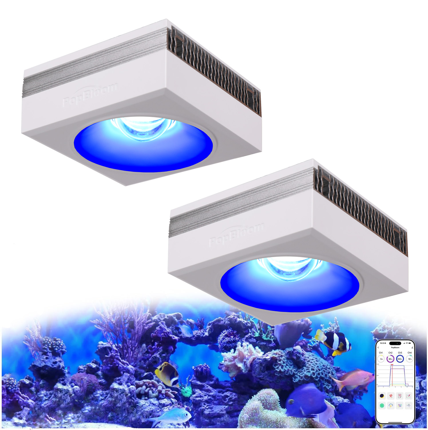 Marine X Aquarium - NEW PopBloom RL90 WiFi LED 수족관