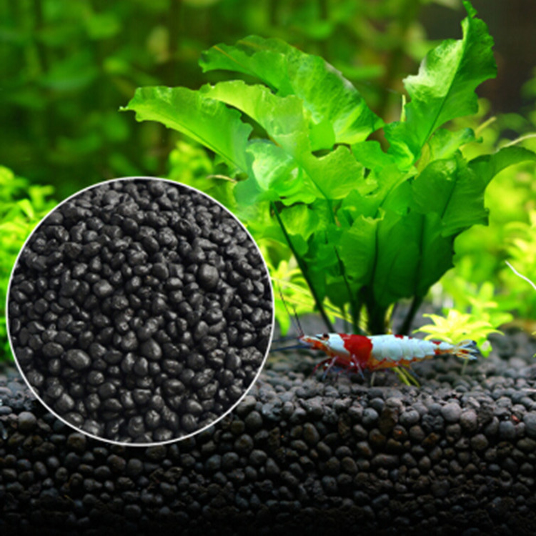 Aquarium Marine Plants - 수족관 식물 씨앗 토양 어항 기판