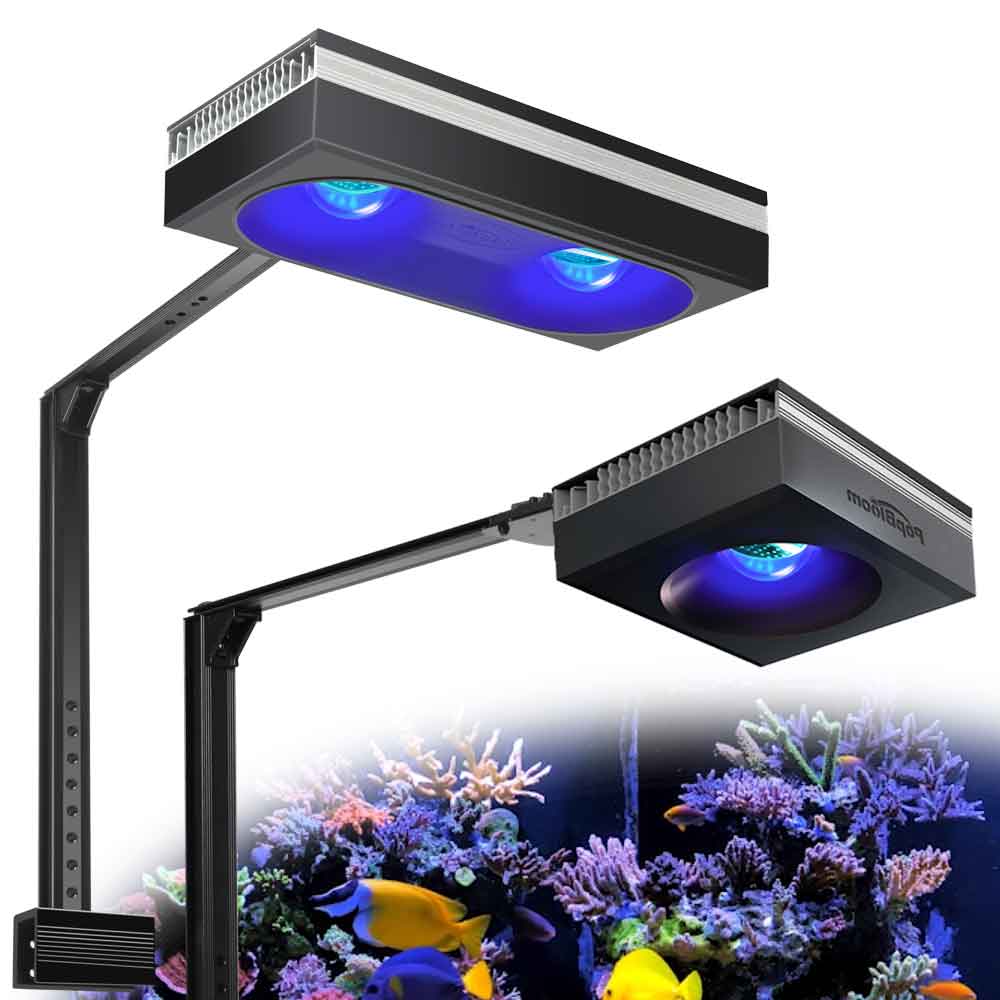 PopBloom RL90/RL180 WiFi 수족관 조 - Marine X Aquarium 리뷰 및 가격
