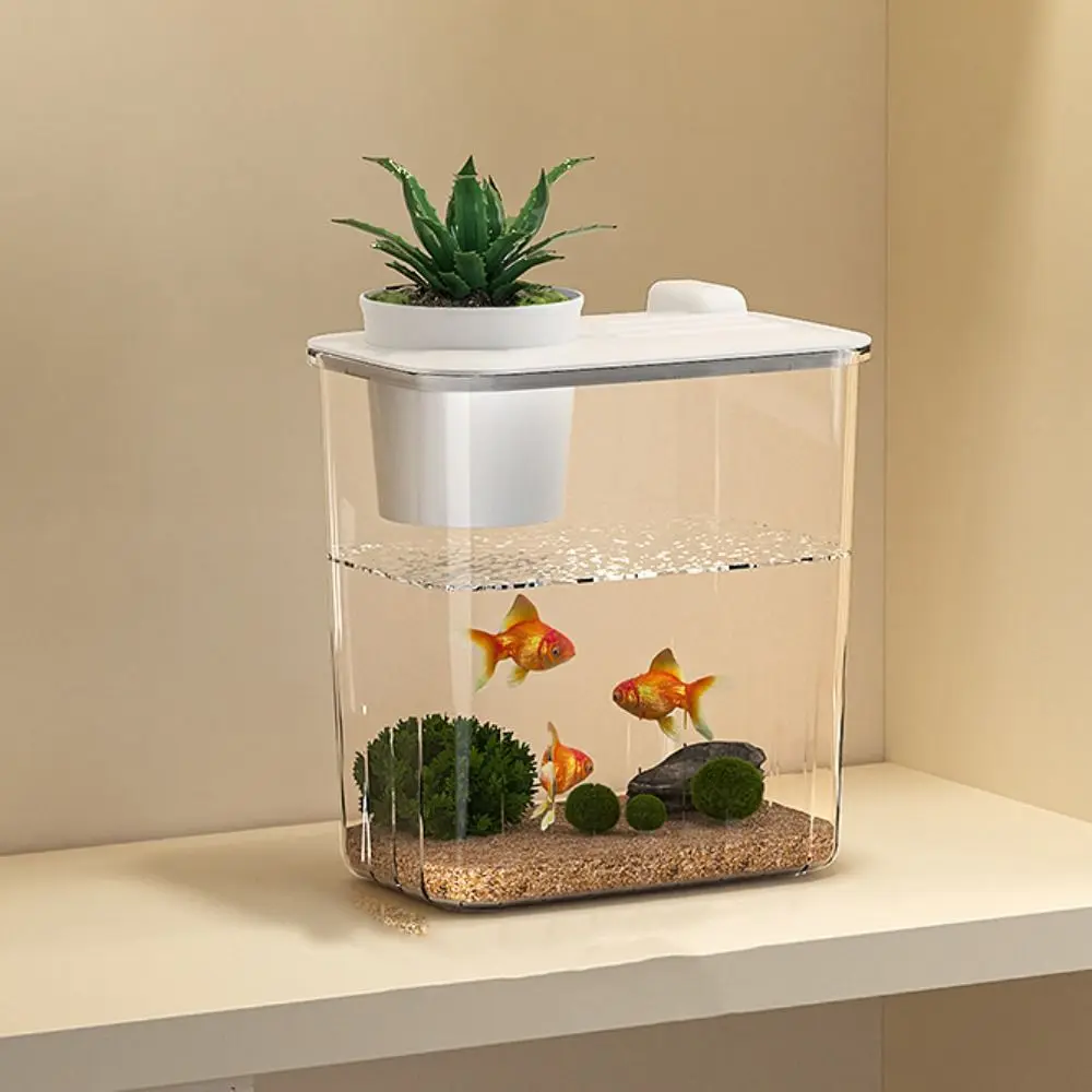 아쿠아리움 데스크탑 어항 물펌프 고투명 필터 조경 어항 - Marine Aquarium With Sump 리뷰 및 가격