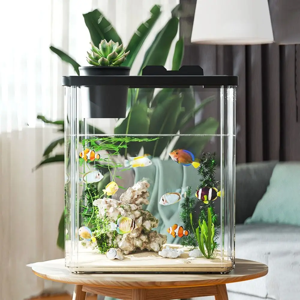 아쿠아리움 데스크탑 어항 물펌프 고투명 필터 조경 어항 - Marine Aquarium With Sump 리뷰 및 가격