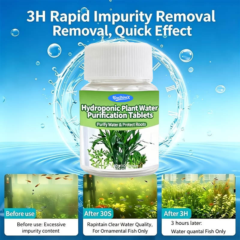 수경재배용 정수정-즉시 사용 가능한 수질 개선제, 어항 - Aquarium Marine Plants 리뷰 및 가격