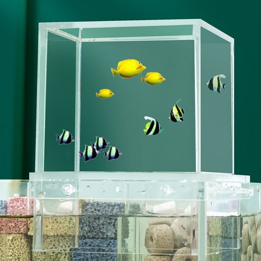 조경용 음압 어항 독특하고 눈길을 사로잡는 아크릴 매달 - Marine Aquarium With Sump 리뷰 및 가격