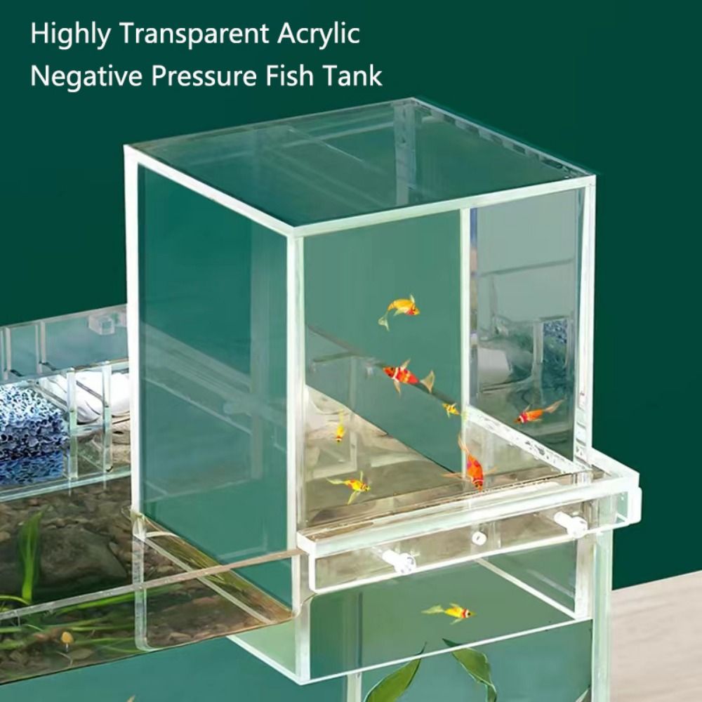조경용 음압 어항 독특하고 눈길을 사로잡는 아크릴 매달 - Marine Aquarium With Sump 리뷰 및 가격