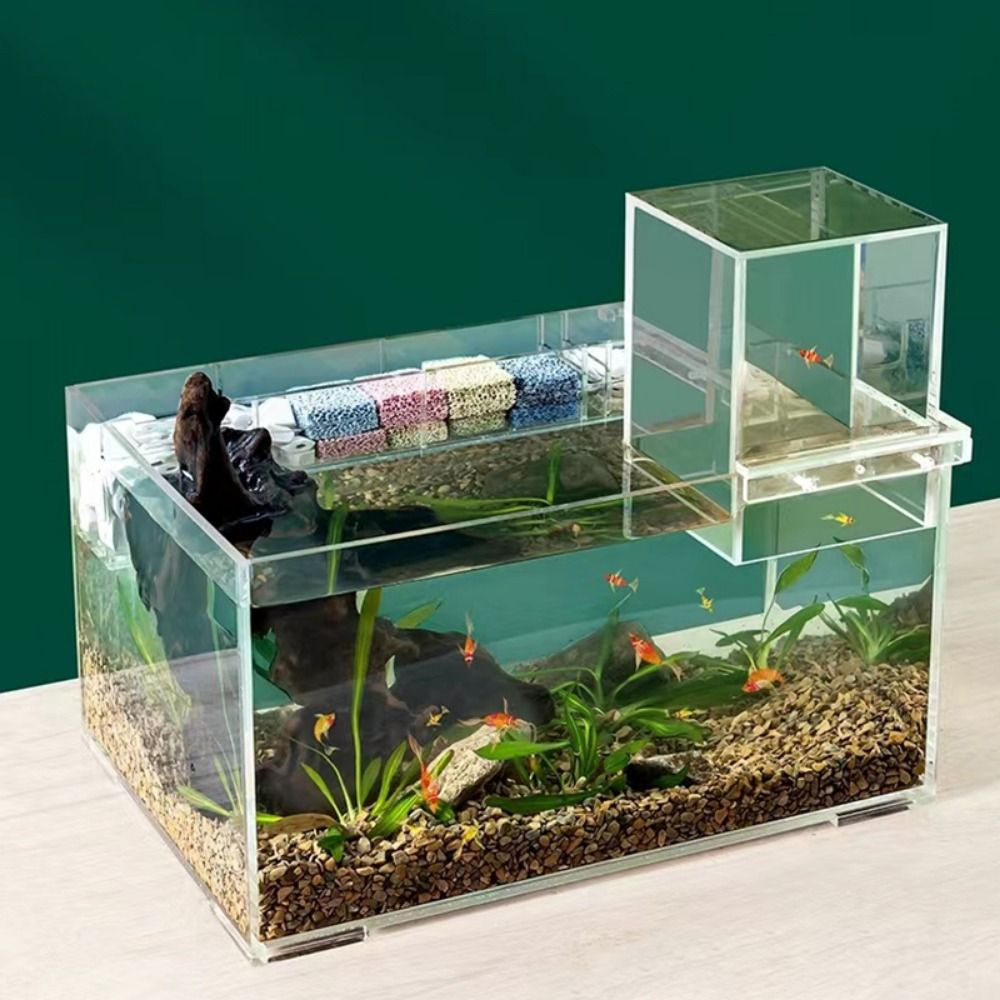 조경용 음압 어항 독특하고 눈길을 사로잡는 아크릴 매달 - Marine Aquarium With Sump 리뷰 및 가격