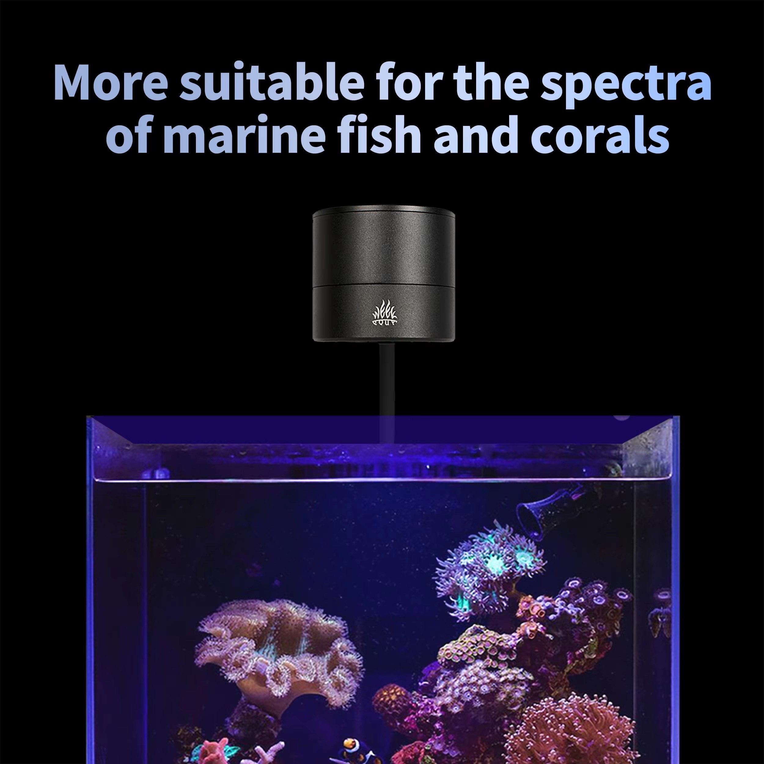 위크 아쿠아 수족관 조명 제조업체 블루 리프 라이트 L - Aquarium Marine Salt 리뷰 및 가격