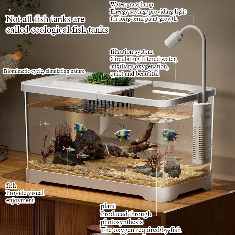 어항 가정용 수족관 거실 탁상용 생태 순환 탱크 필터  - Marine Aquarium With Sump 리뷰 및 가격