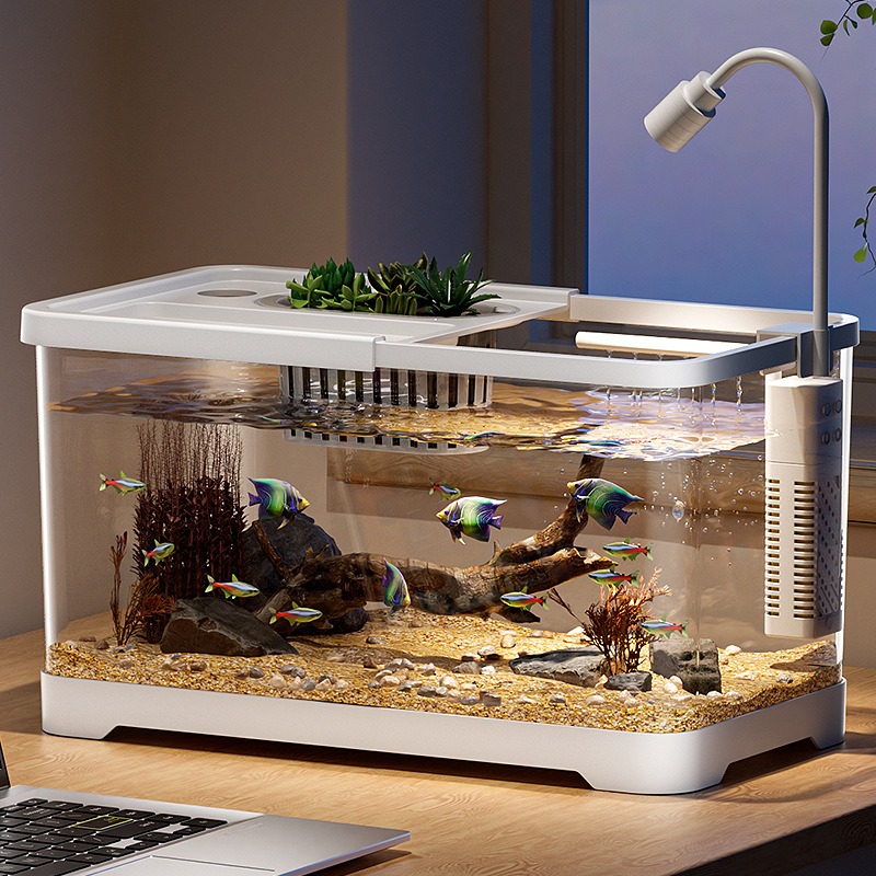 어항 가정용 수족관 거실 탁상용 생태 순환 탱크 필터  - Marine Aquarium With Sump 리뷰 및 가격
