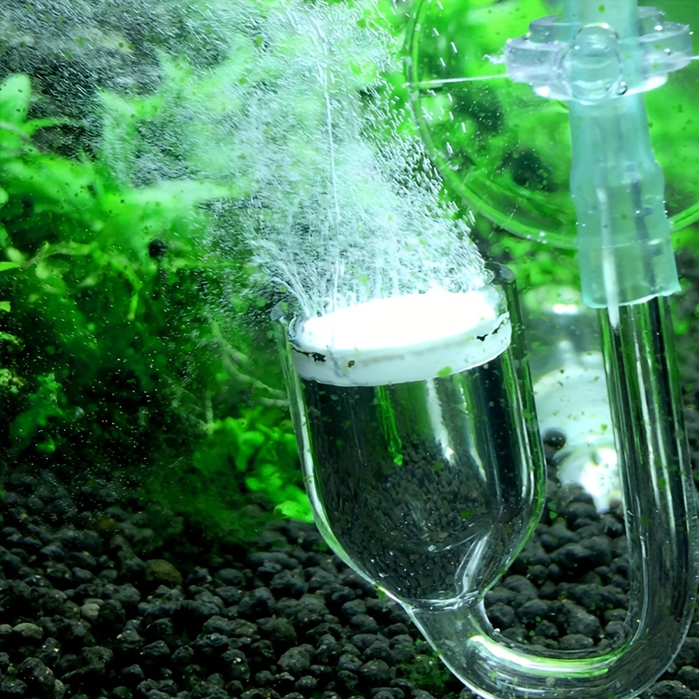 수족관 유리 CO2 무화기 디퓨저 버블 카운터, 수족관 - Aquarium Marine Plants 리뷰 및 가격