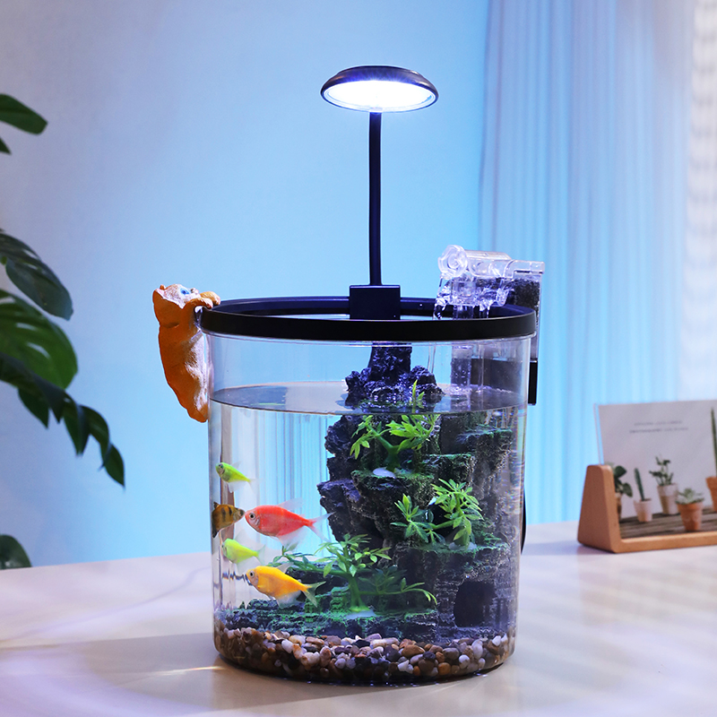 컴팩트 원형 금붕어 어항 - 사무실 및 가정용 데스크탑 - Marine Aquarium With Sump 리뷰 및 가격