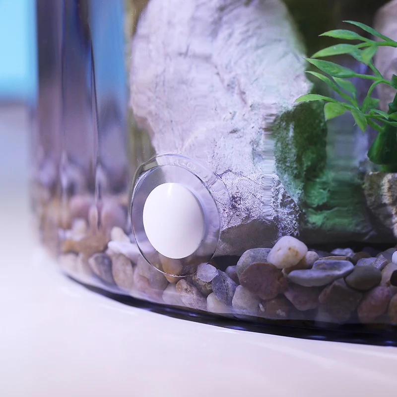 컴팩트 원형 금붕어 어항 - 사무실 및 가정용 데스크탑 - Marine Aquarium With Sump 리뷰 및 가격