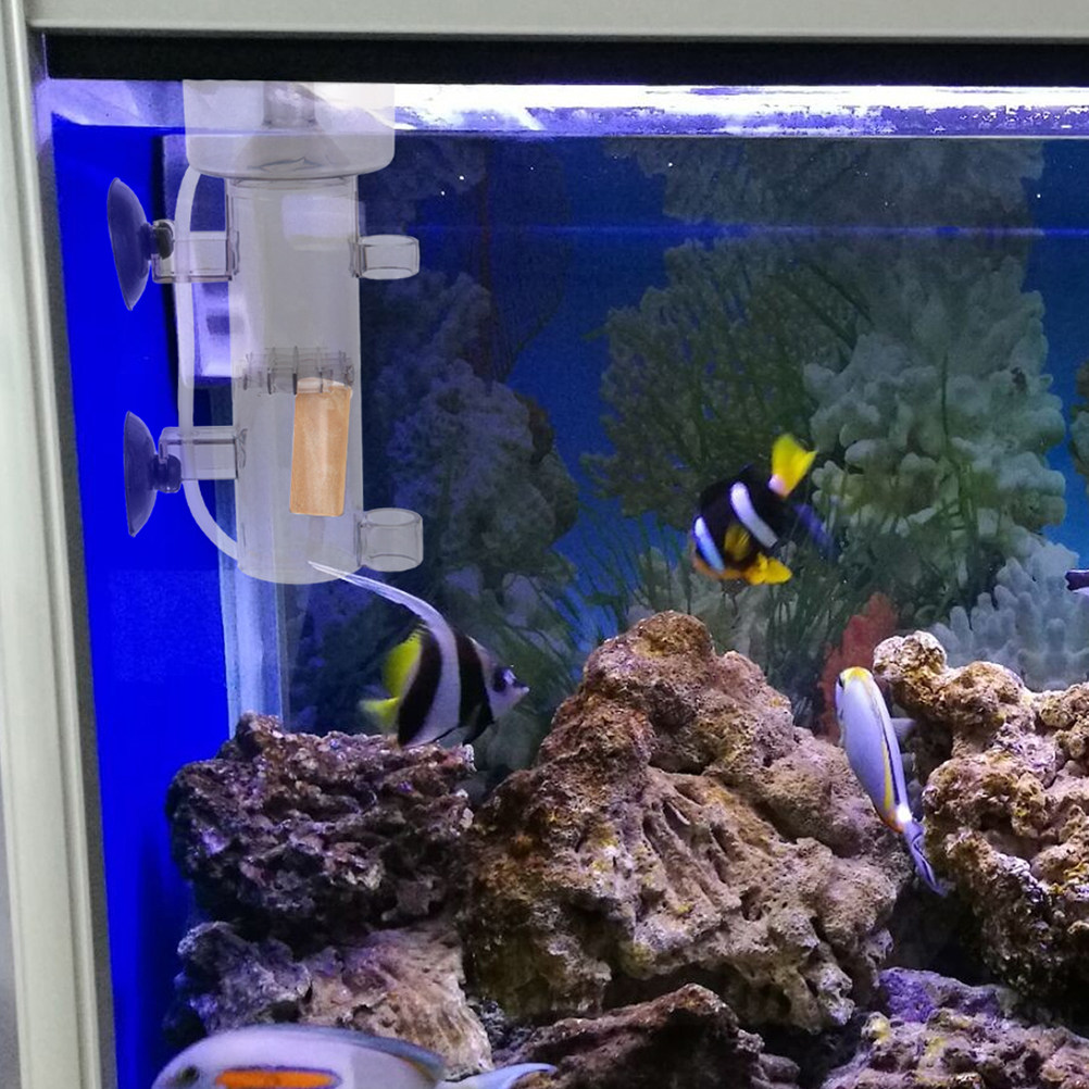 단백질 스키머 아크릴 수족관 분리기, 해수어항 해양 액 - Aquarium Marine Fish 리뷰 및 가격