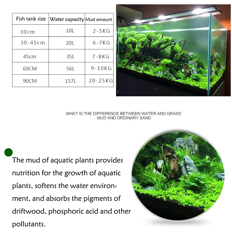 수족관 식물 씨앗 토양 어항 기판 모래 토양 비료 진흙 - Aquarium Marine Plants 리뷰 및 가격