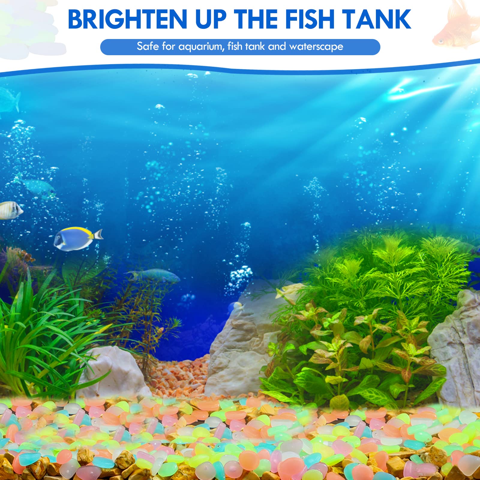 100Pcs 보도 정원 테라스 잔디 정원 파티오 물고기 - Aquarium Marine Fish 리뷰 및 가격