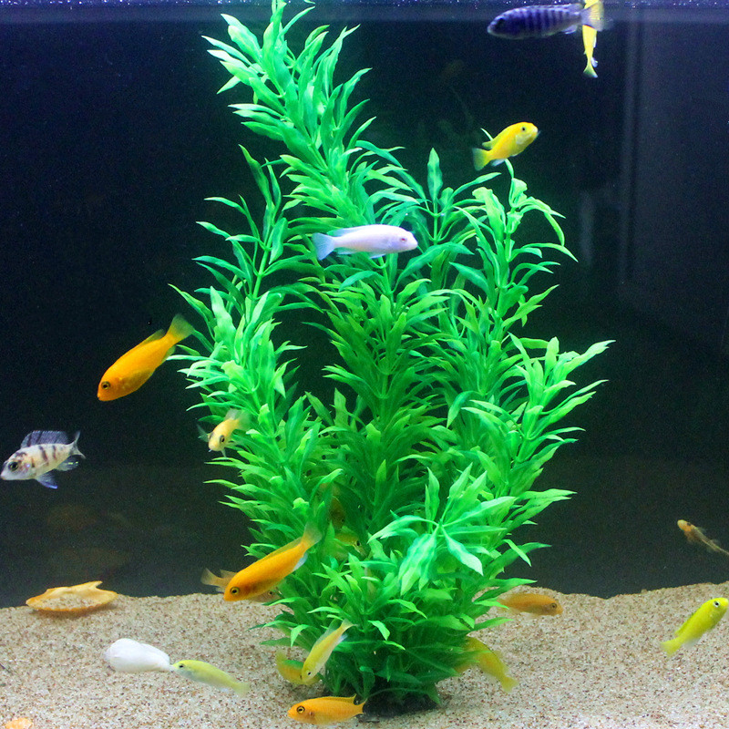 50CM 인조 어항 희귀 식물 수족관 가짜 대나무 잎  - Aquarium Marine Fish 리뷰 및 가격