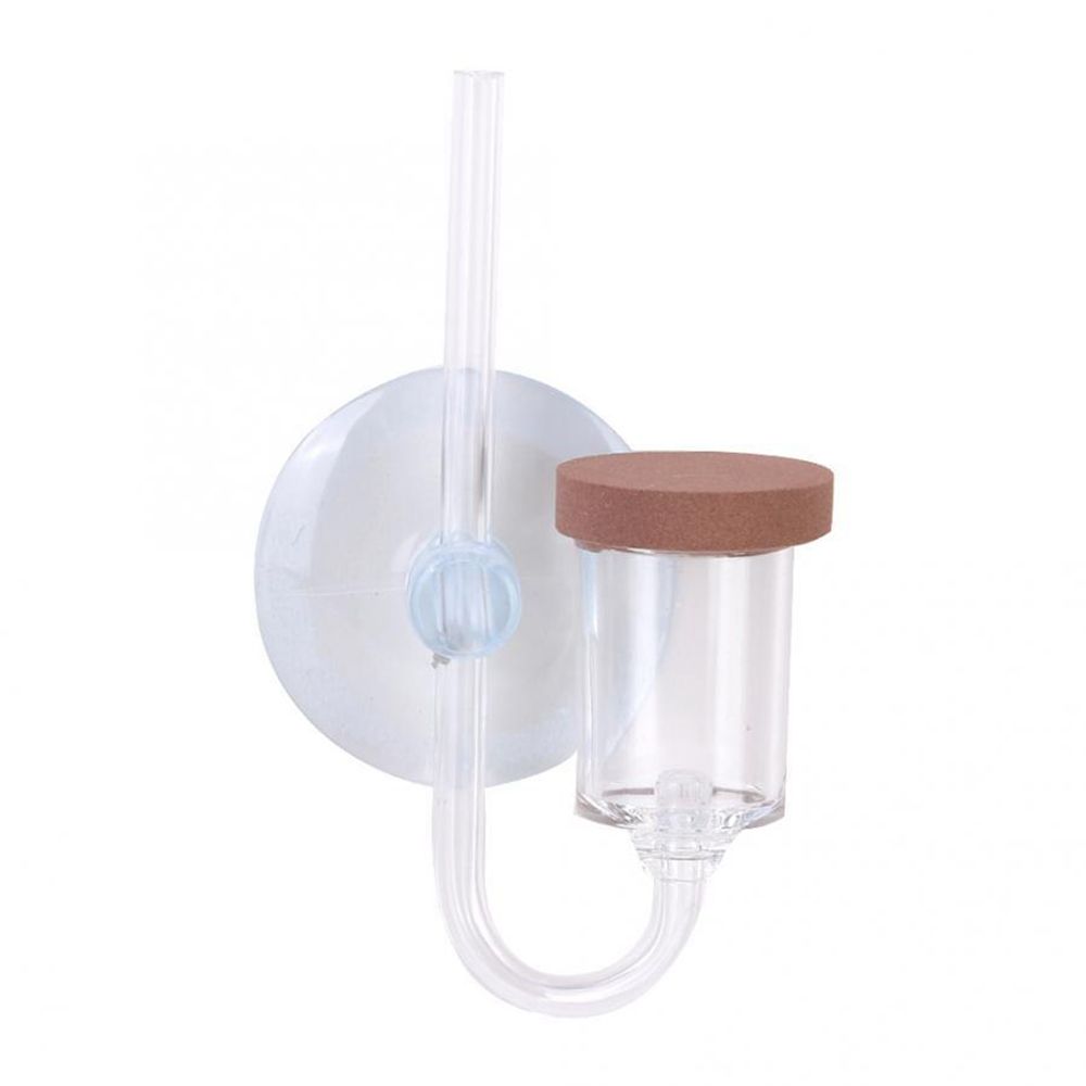 아크릴 미니 어항 생물 식물 U자형 분무기 CO2 정화 - Aquarium Marine Plants 리뷰 및 가격