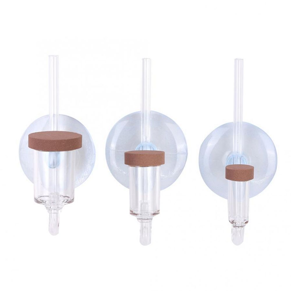 아크릴 미니 어항 생물 식물 U자형 분무기 CO2 정화 - Aquarium Marine Plants 리뷰 및 가격