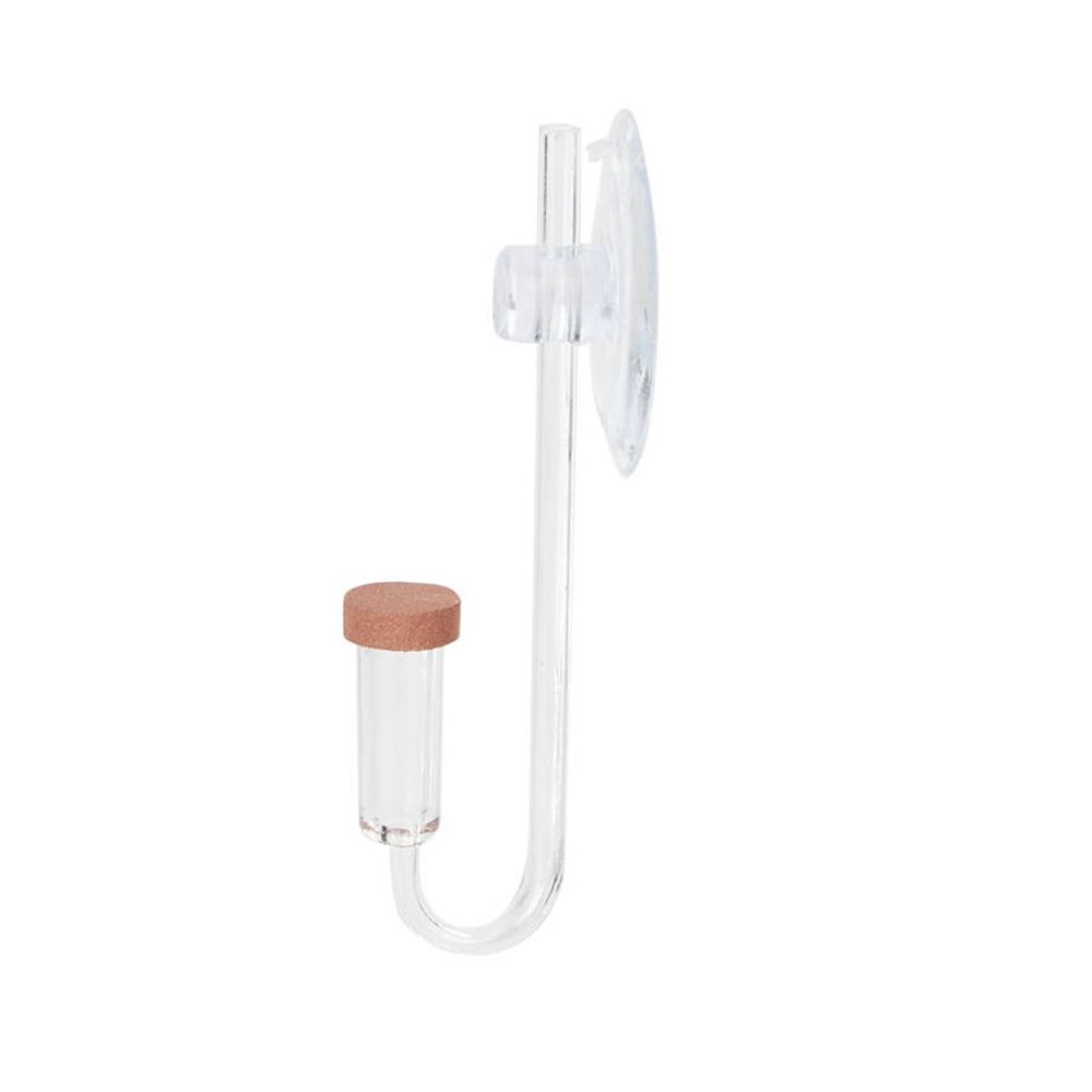 아크릴 미니 어항 생물 식물 U자형 분무기 CO2 정화 - Aquarium Marine Plants 리뷰 및 가격