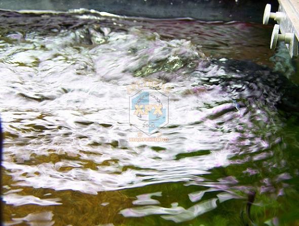 썬썬 Jvp-200 최신 웨이브 메이커 펌프, 6w 나 - Aquarium Marine Salt 리뷰 및 가격
