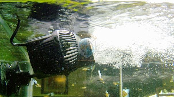 썬썬 Jvp-200 최신 웨이브 메이커 펌프, 6w 나 - Aquarium Marine Salt 리뷰 및 가격