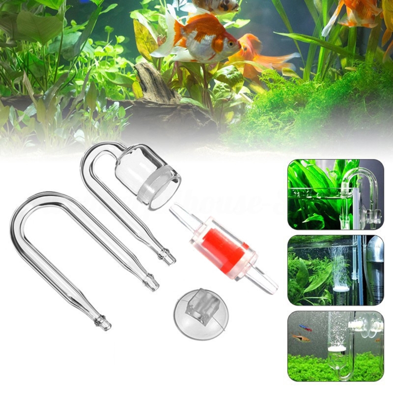 수족관 유리 탱크용 DIY CO2 디퓨저, 버블 반응기 - Aquarium Marine Plants 리뷰 및 가격