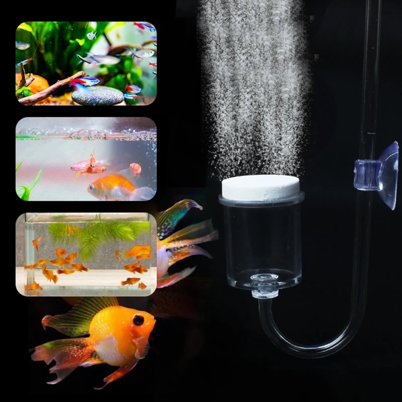 수족관 유리 탱크용 DIY CO2 디퓨저, 버블 반응기 - Aquarium Marine Plants 리뷰 및 가격